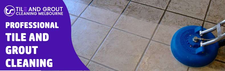 Professional Tile and Grout Cleaning